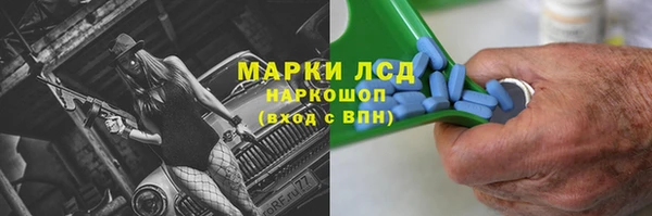 ПСИЛОЦИБИНОВЫЕ ГРИБЫ Аркадак