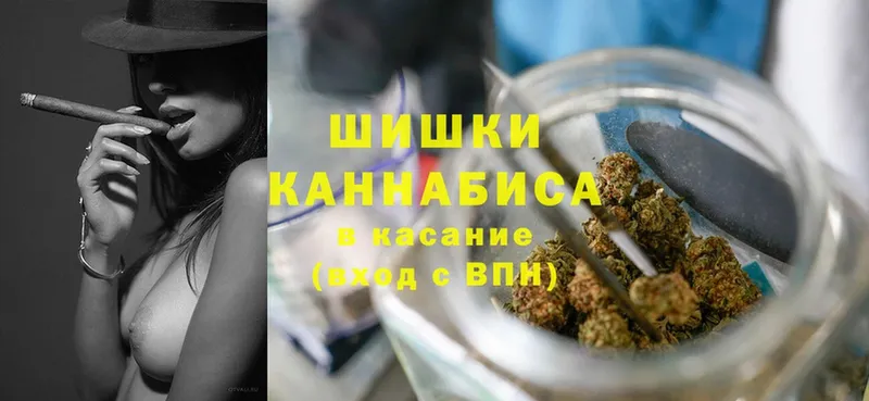 Конопля OG Kush  Алексеевка 